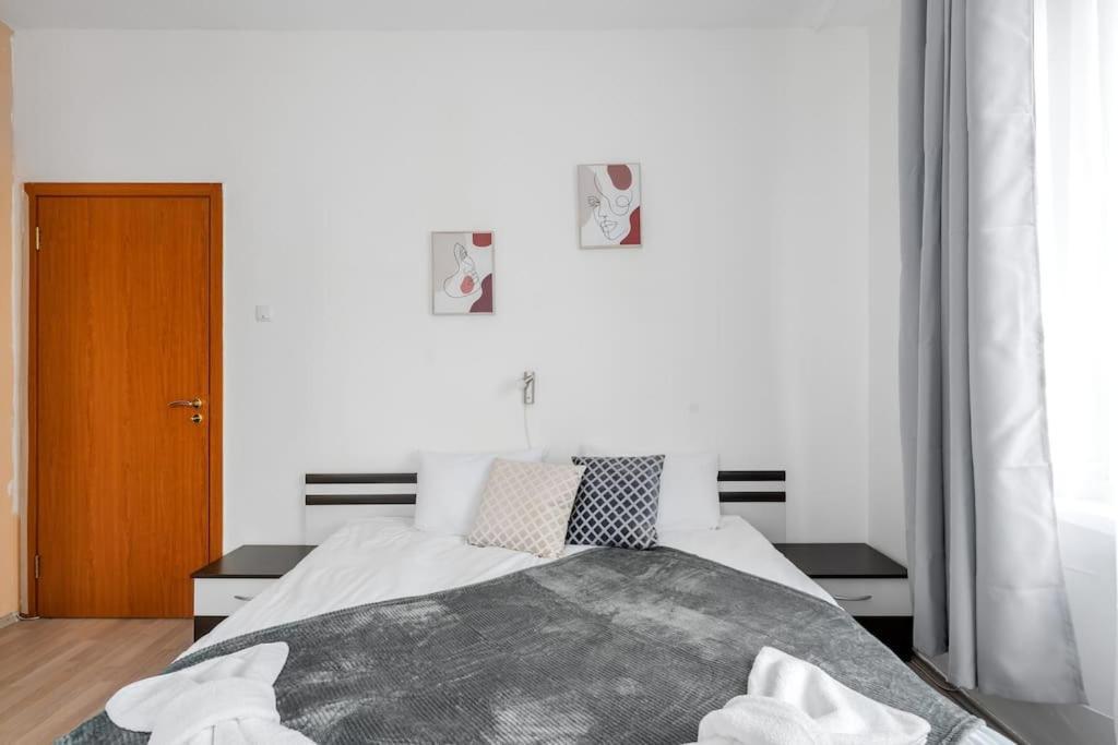 Spacious 3Bd Central Apartment Софія Екстер'єр фото