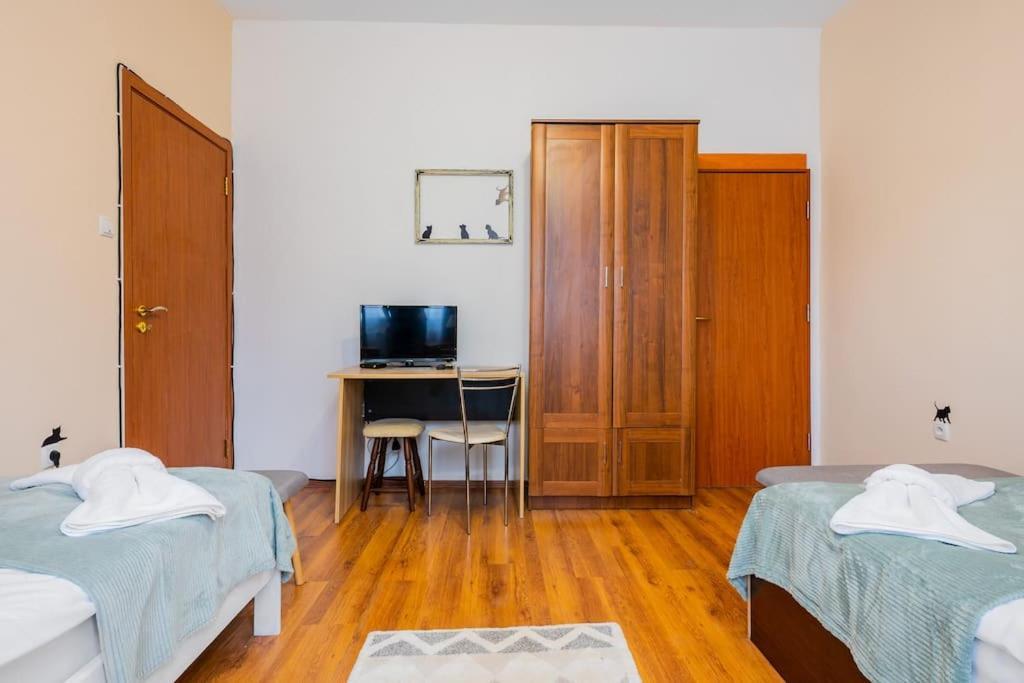 Spacious 3Bd Central Apartment Софія Екстер'єр фото