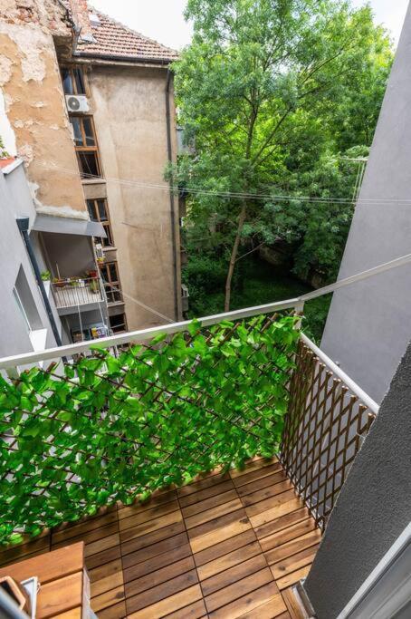 Spacious 3Bd Central Apartment Софія Екстер'єр фото